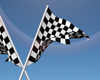 Checkered Flags